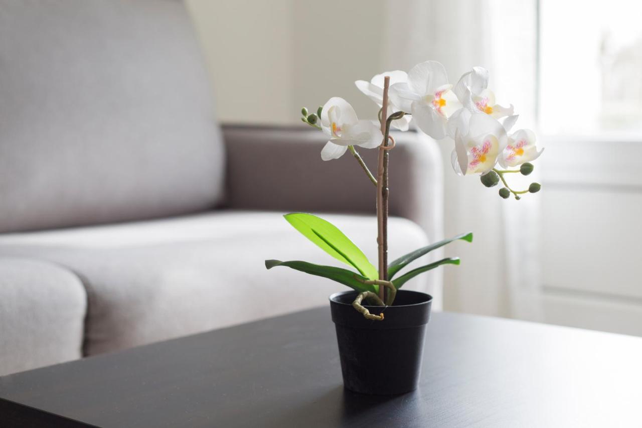 Studio Cosy 2 Min Gare - 10 Min Bussy-Saint-Georges Ngoại thất bức ảnh